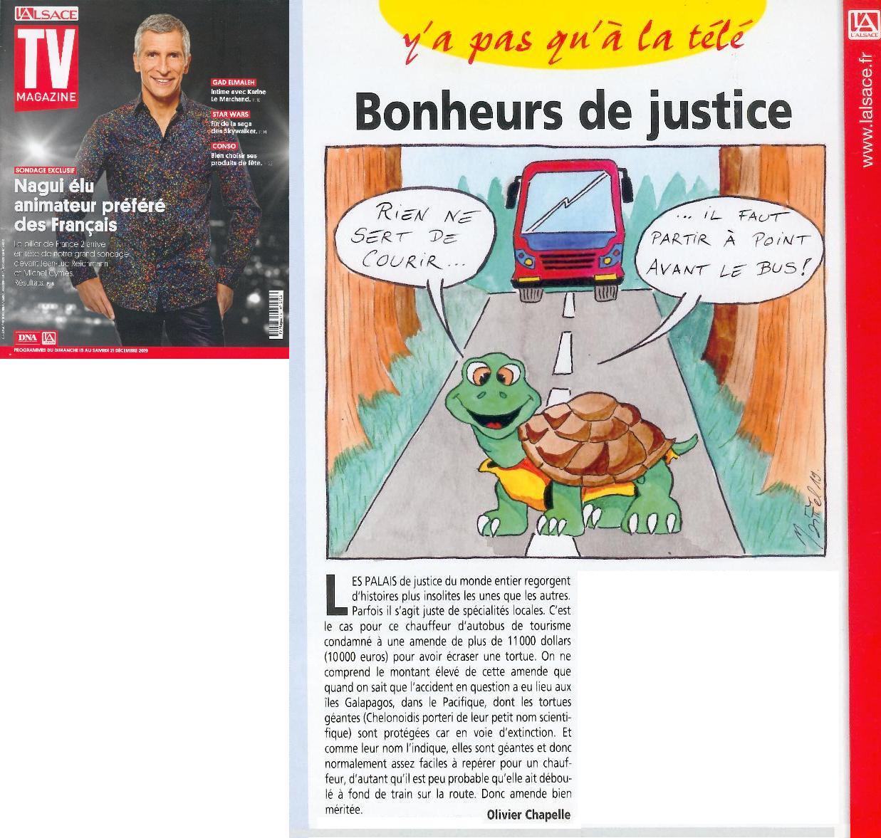 Article "Cette tortue des Galápagos a sauvé son espèce grâce à sa libido : Diego rentre sur son île".