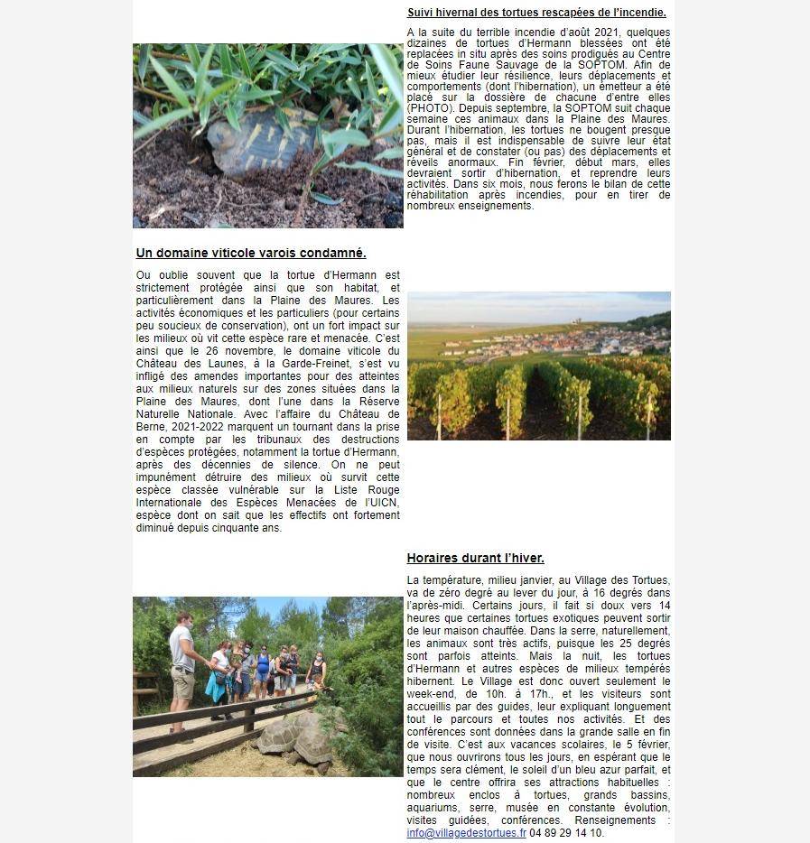 Newsletter Soptom 02.