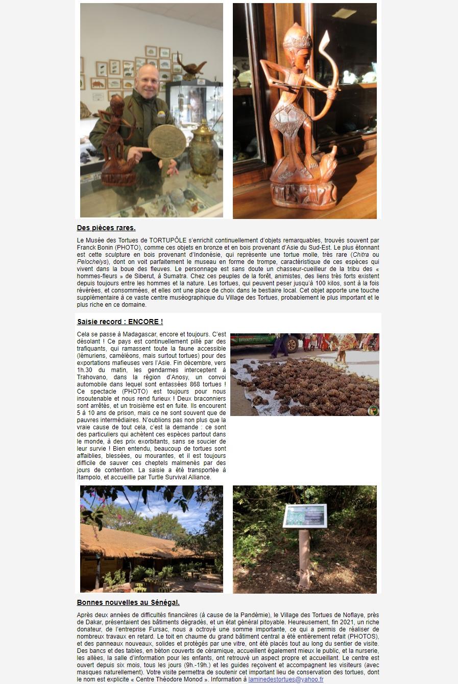 Newsletter Soptom 03.
