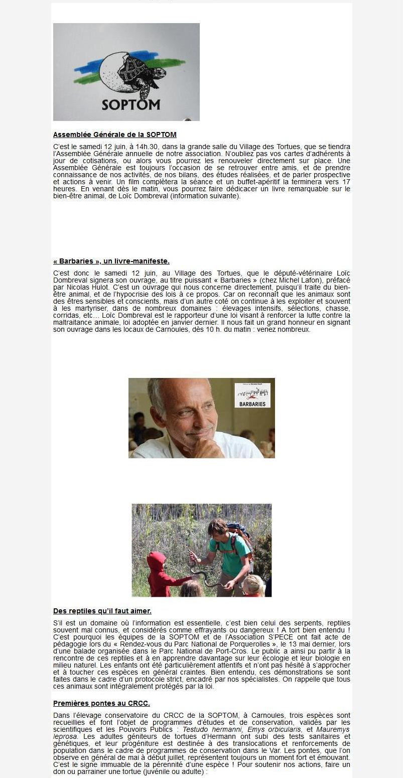 Newsletter Soptom 02.