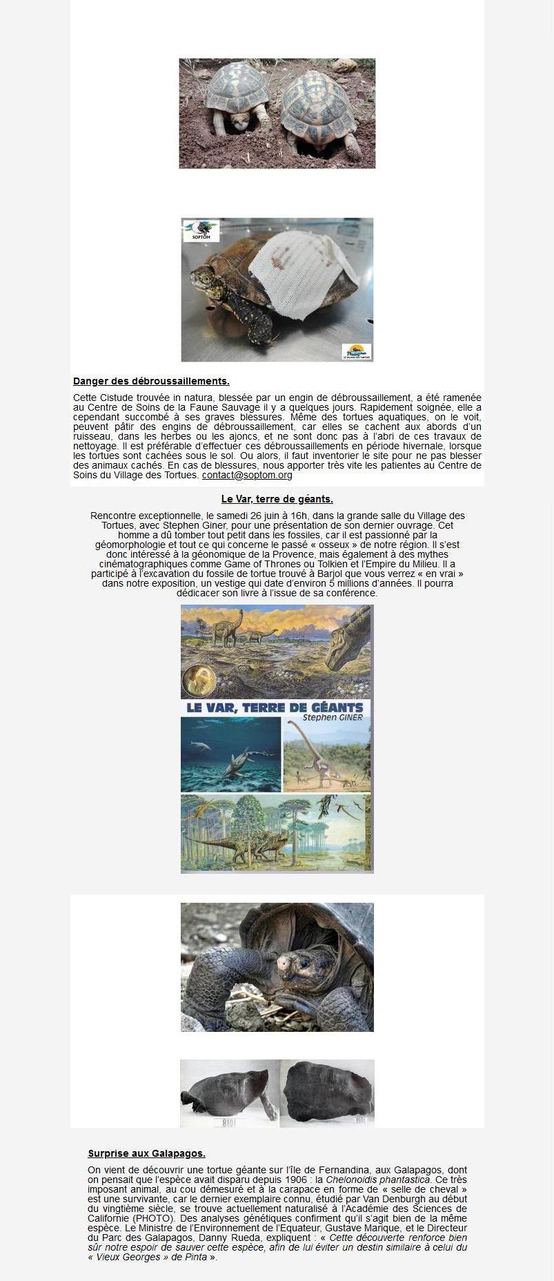 Newsletter Soptom 03.