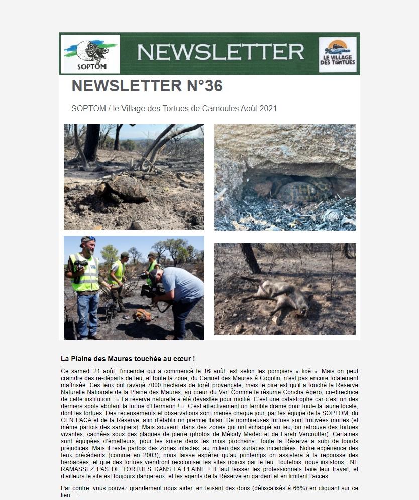Newsletter Soptom 01.