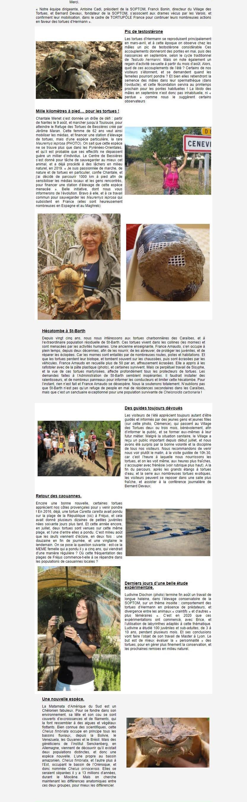 Newsletter Soptom 02.