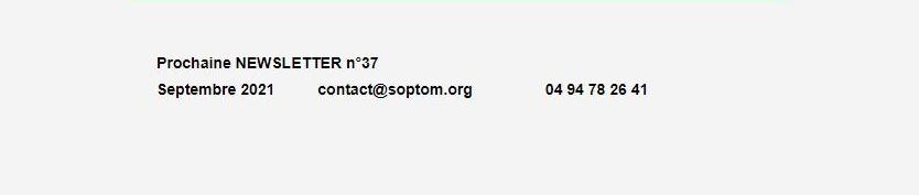 Newsletter Soptom 04.