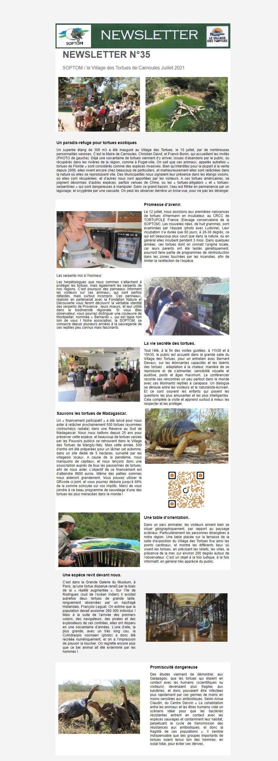 Newsletter Soptom 01.