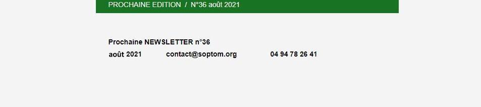 Newsletter Soptom 04.
