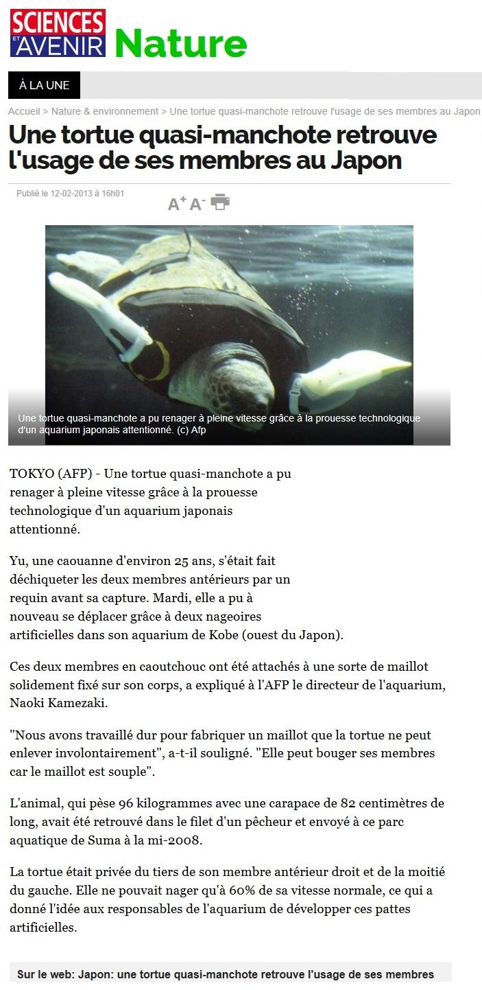 Article1