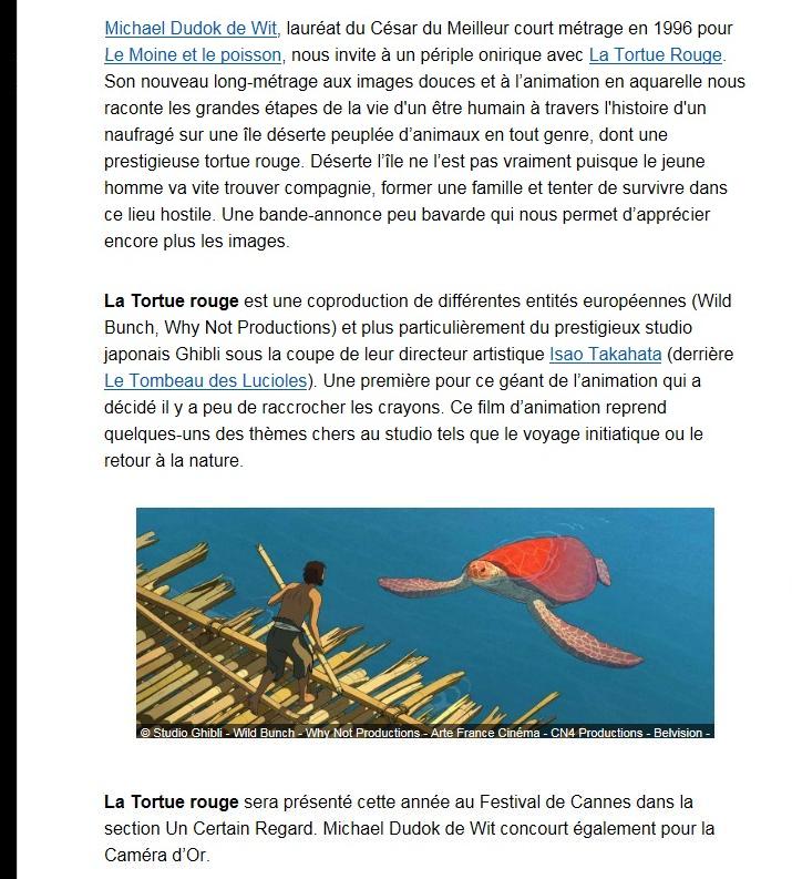 Tortue rouge 02